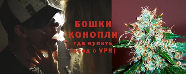 бошки Белокуриха