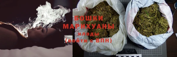 бошки Белокуриха