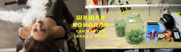 бошки Белокуриха