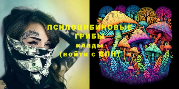 бошки Белокуриха