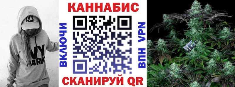 Канабис White Widow Дно